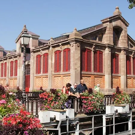 Apartment Historic Center - Cosy Turenne 1 - Bookingalsace Colmar