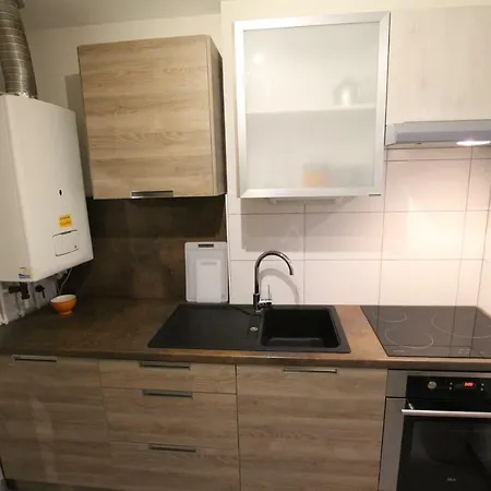 Daire Historic Center - Cosy Turenne 1 - Bookingalsace Colmar